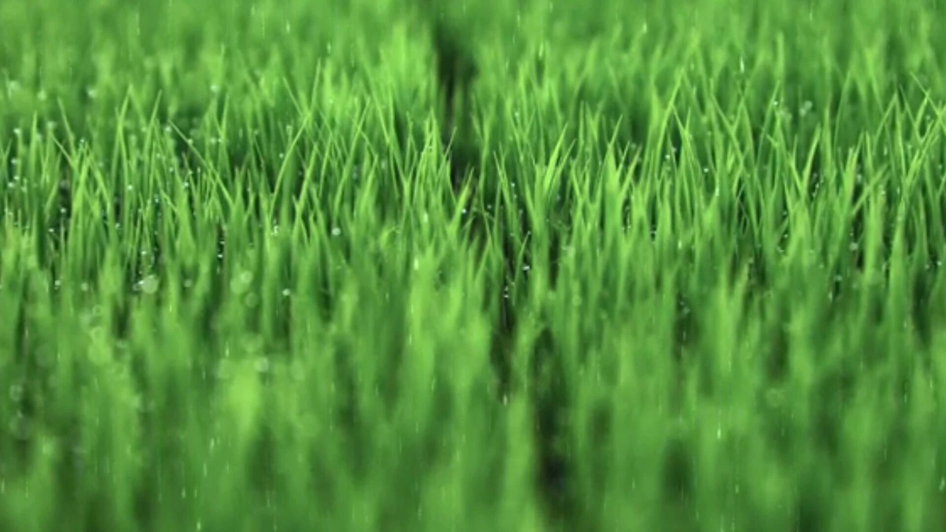 收录于合集⭐新的一天,愿你快乐舒畅，顺心安康!