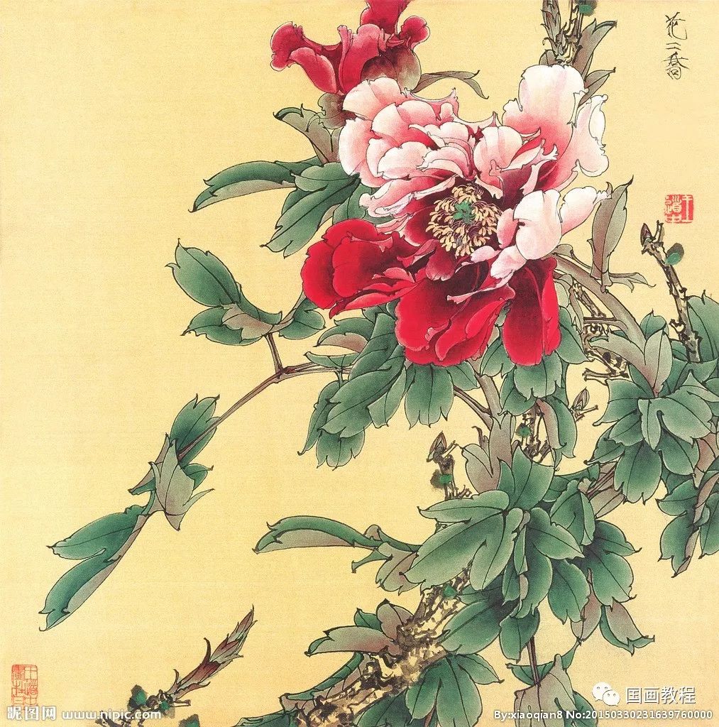 精美国画牡丹100副(附加详细教程~)