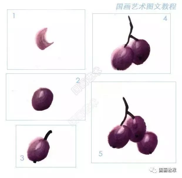 黄绿色葡萄的画法