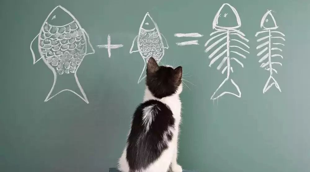 卖萌犯蠢的喵星人,其实只是在装傻!