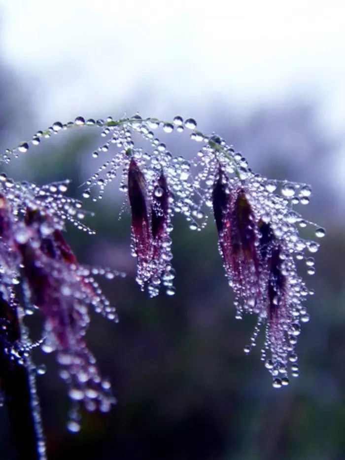 《玉蝴蝶·望处雨收云断》