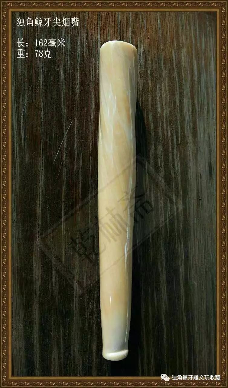 虽然今天独角鲸牙已被作为一种观赏把玩的收藏品,但曾经被传的神奇