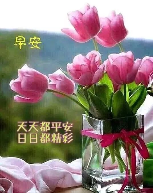 秋季朋友圈清晨送朋友的暖心问候祝福清晨早上好问候动态表情图片