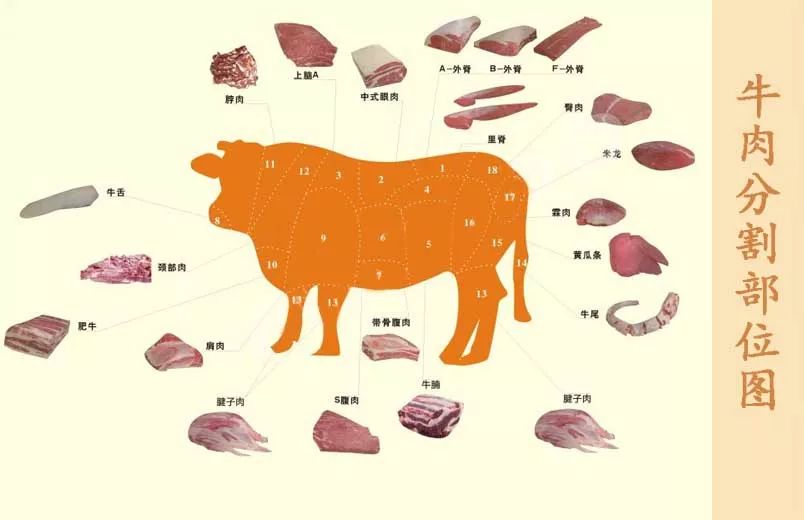 牛肉哪个部位最好吃,以后别再买亏了