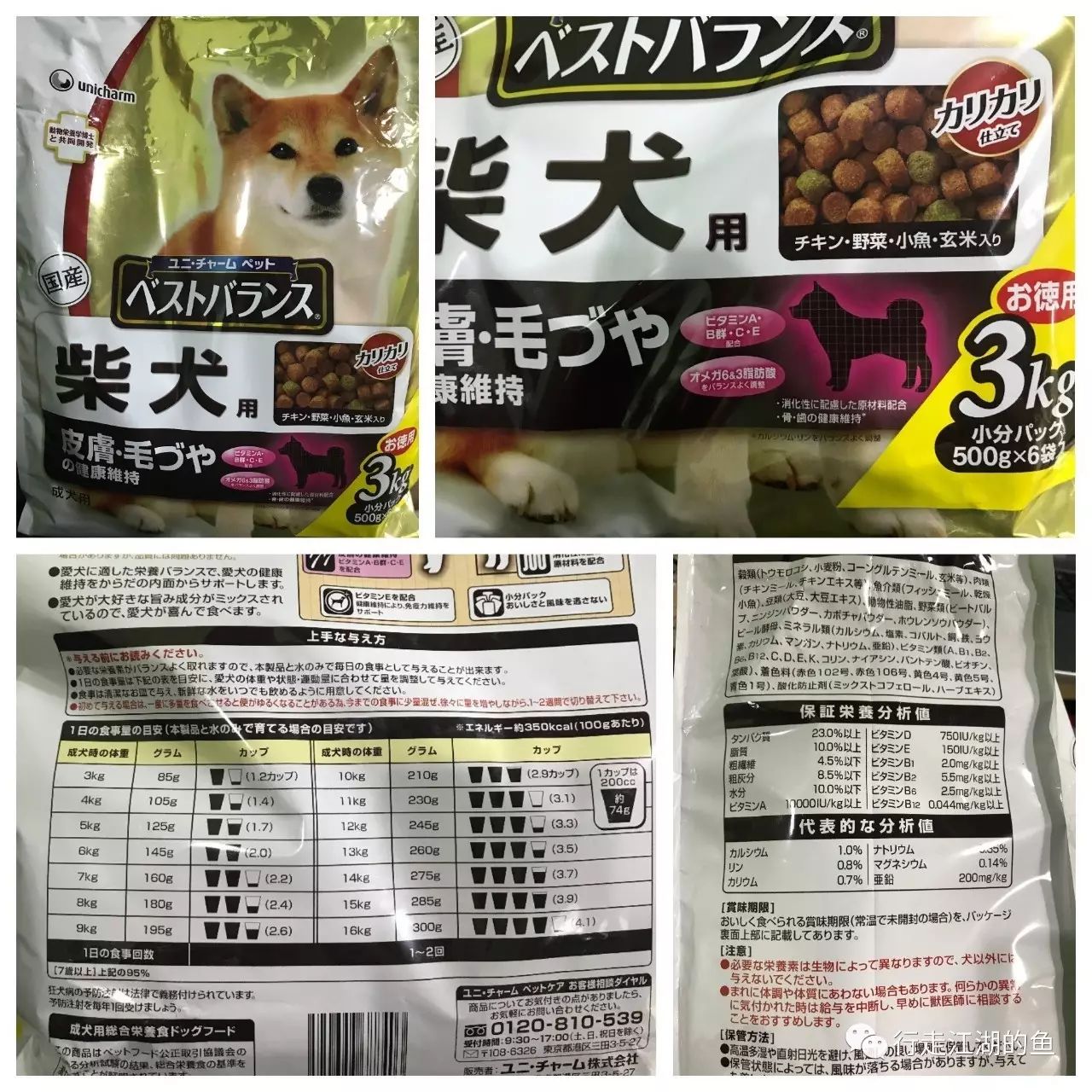 吃饭是件大事 盘盘我吃过的那些柴犬粮 行走江湖的鱼 微信公众号文章阅读 Wemp