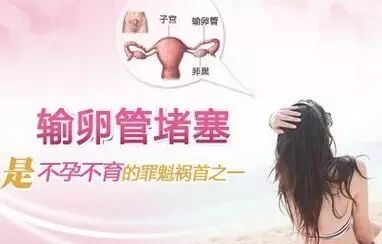 造影半年后才能怀孕,输卵管为何又堵!-怀孕期