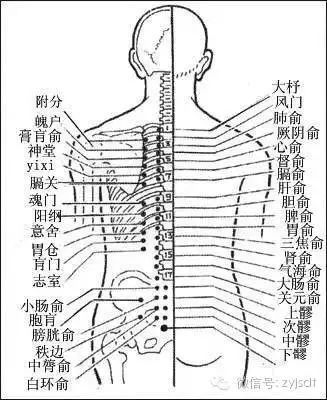 膀胱经很重要，长揉按，捏脊疏通气机