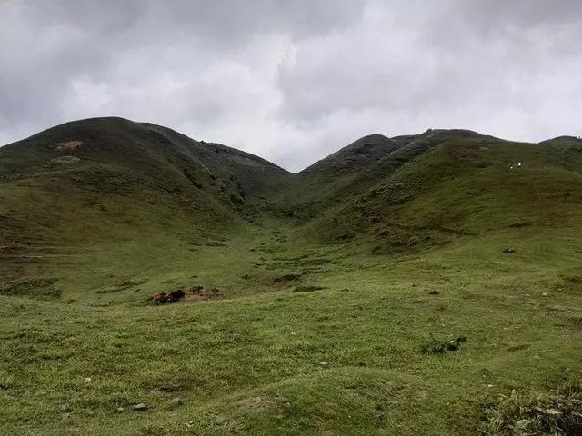 茂名西站在哪_茂名西站有客运站吗_茂名西站售票电话