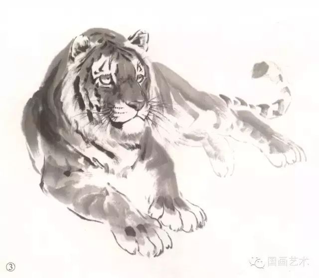 书画课堂|怎样画写意虎