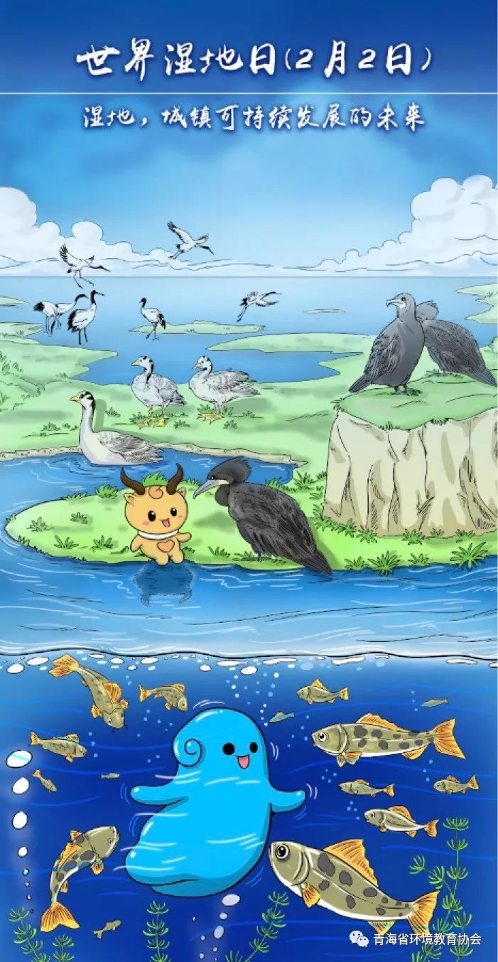 2018世界湿地日|青海湖鸟岛国际重要湿地