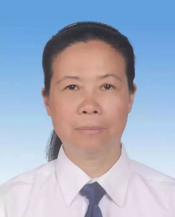 全国人大代表:民建平阳县基层委员会副主委,平阳县鳌江镇联南村民委员