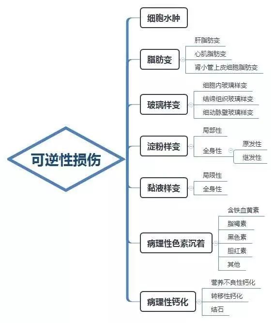 病理学:细胞的可逆性损伤