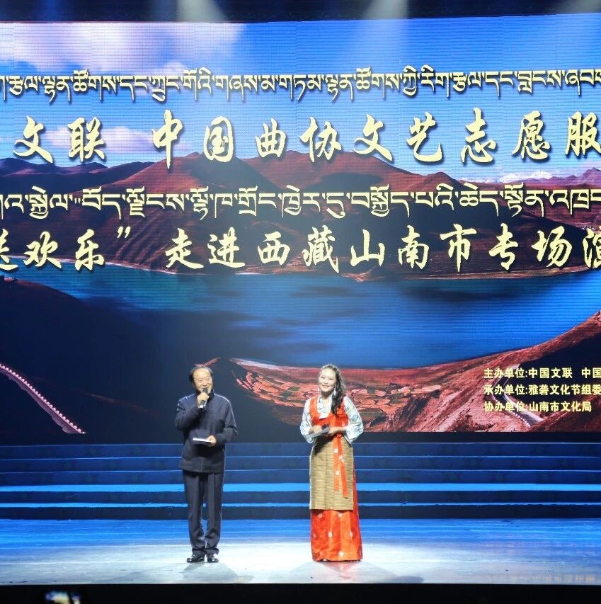 牛群、郭达、奇志等艺术家齐聚山南送欢乐