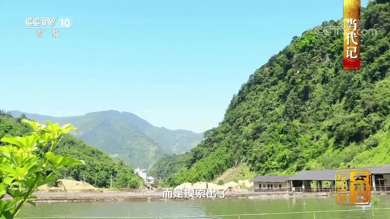 中国影像方志：云南绥江