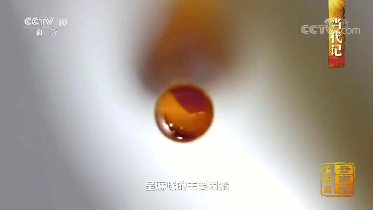 中国影像方志：云南鲁甸