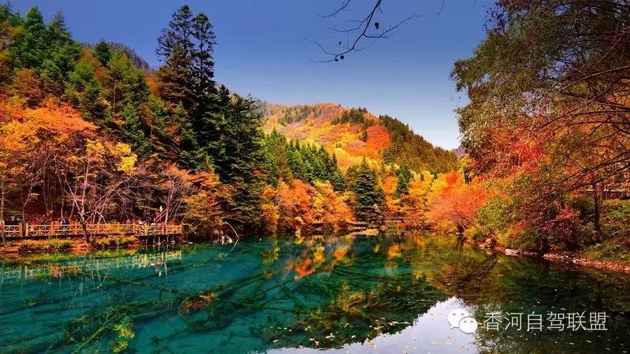 翠海,叠瀑,彩林,雪峰,藏情,蓝冰,被誉为九寨沟"六绝".