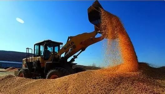 财政部加大种粮补贴力度，说是绝不让农民吃亏！