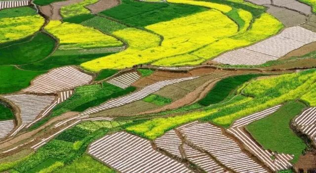 二轮承包地不在册的能确权吗？土地承包中这些规定都能保护你