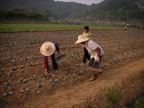 哪些地方搞土地流转能拿补贴？