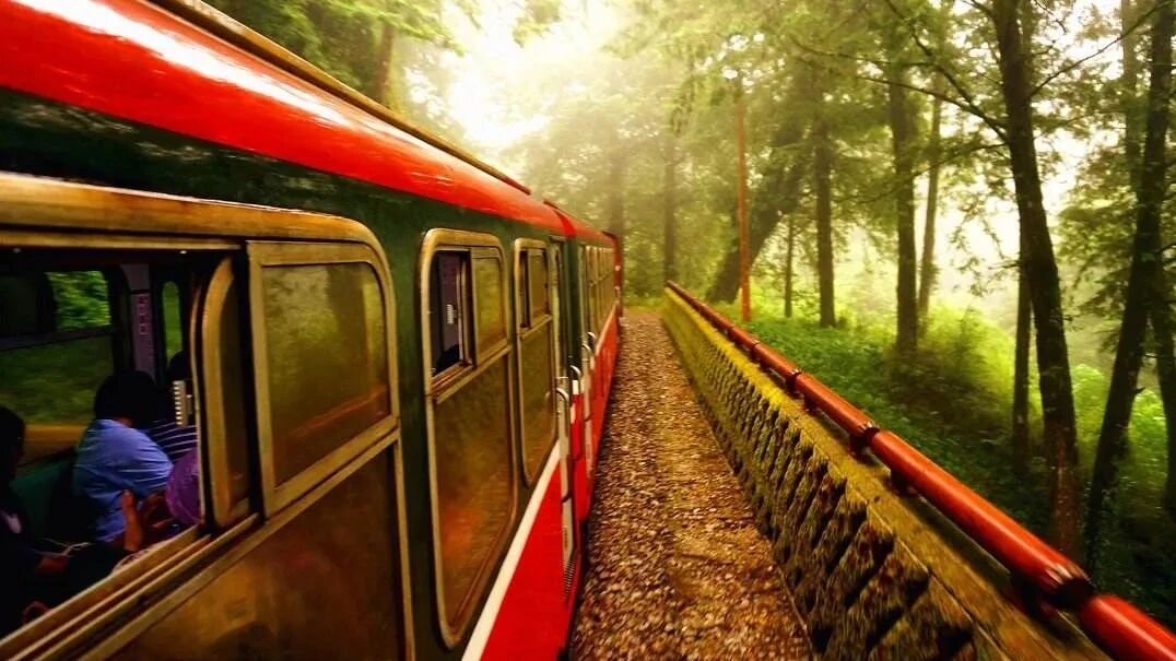 《生命的列车》太感人了！看完的人都开悟了