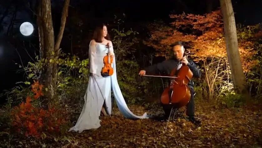 最美人间处暑秋，二重奏《雁南飞》