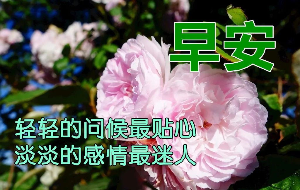 2021早上好动态祝福图片问候朋友秋季早安的祝福句子