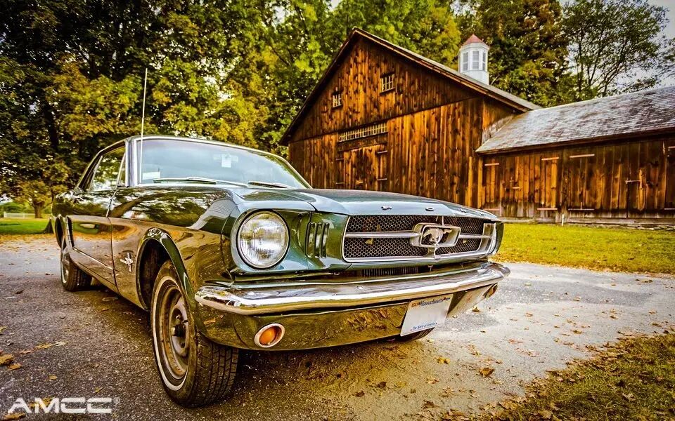 国内驾驶野马5.0手动挡