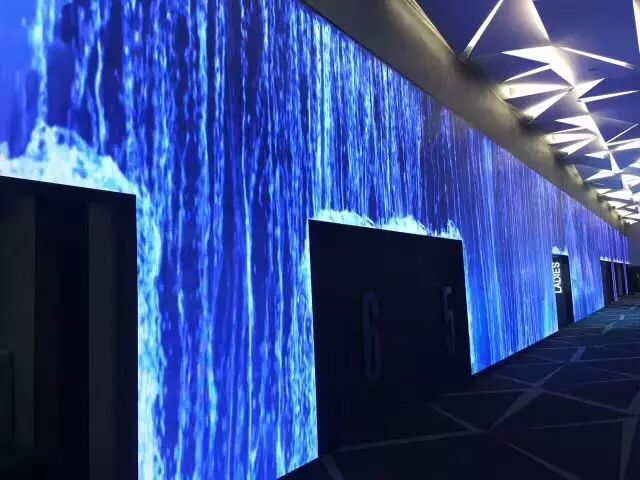 1632453447454425.jpeg 1632453447454425.jpeg