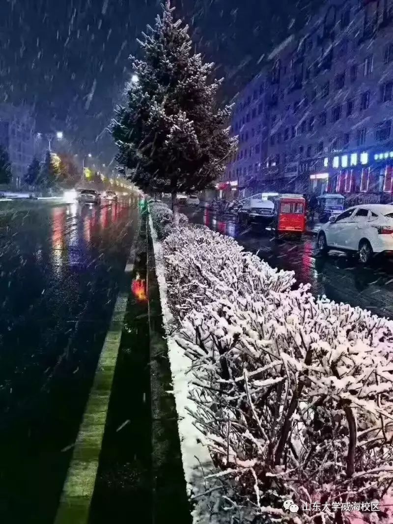 归乡日记 我在北国的夜里大雪纷飞