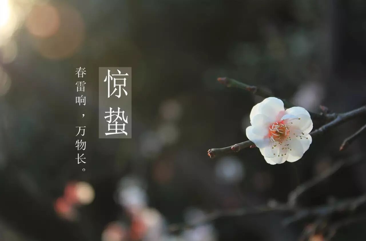 惊蛰到，养肝祛病好时节