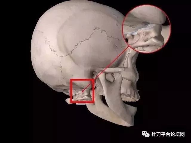 寰枢关节 主要负责头部转动