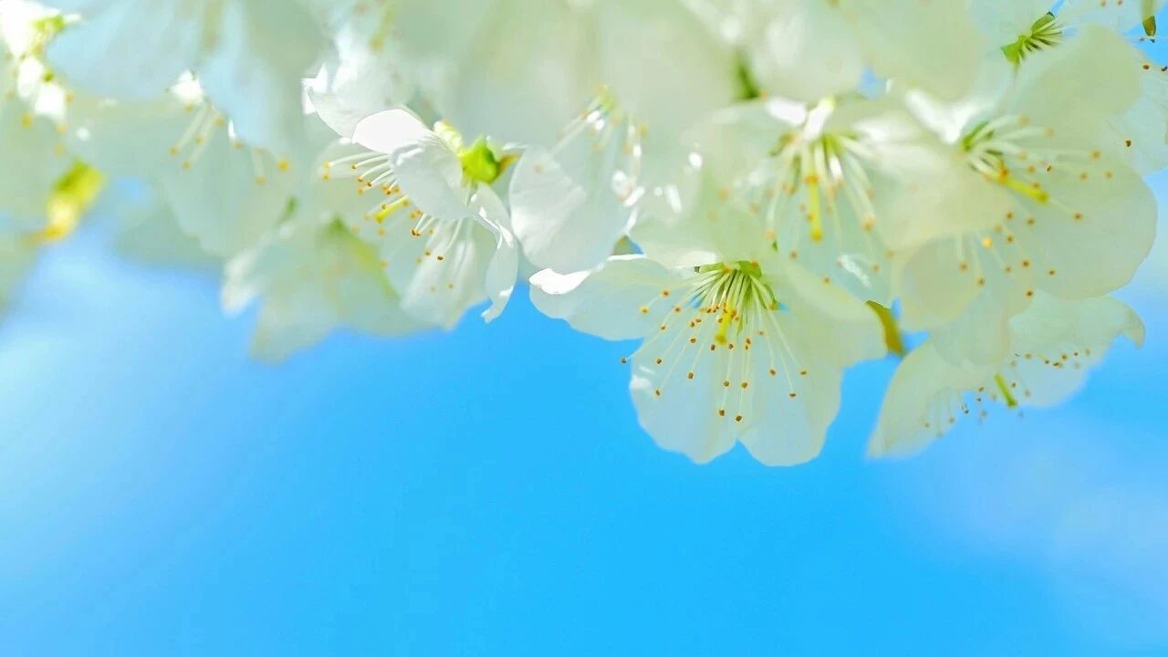 陈冰:理想中的教学是什么样子