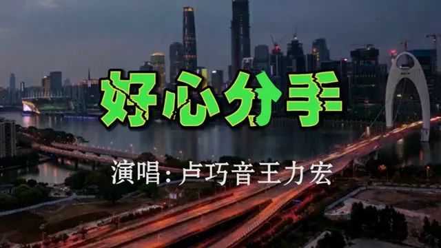 王力宏卢巧音 国粤对唱《好心分手》DJ版