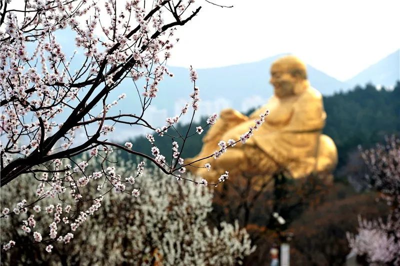 来千佛山风景区看人间四月的芳菲