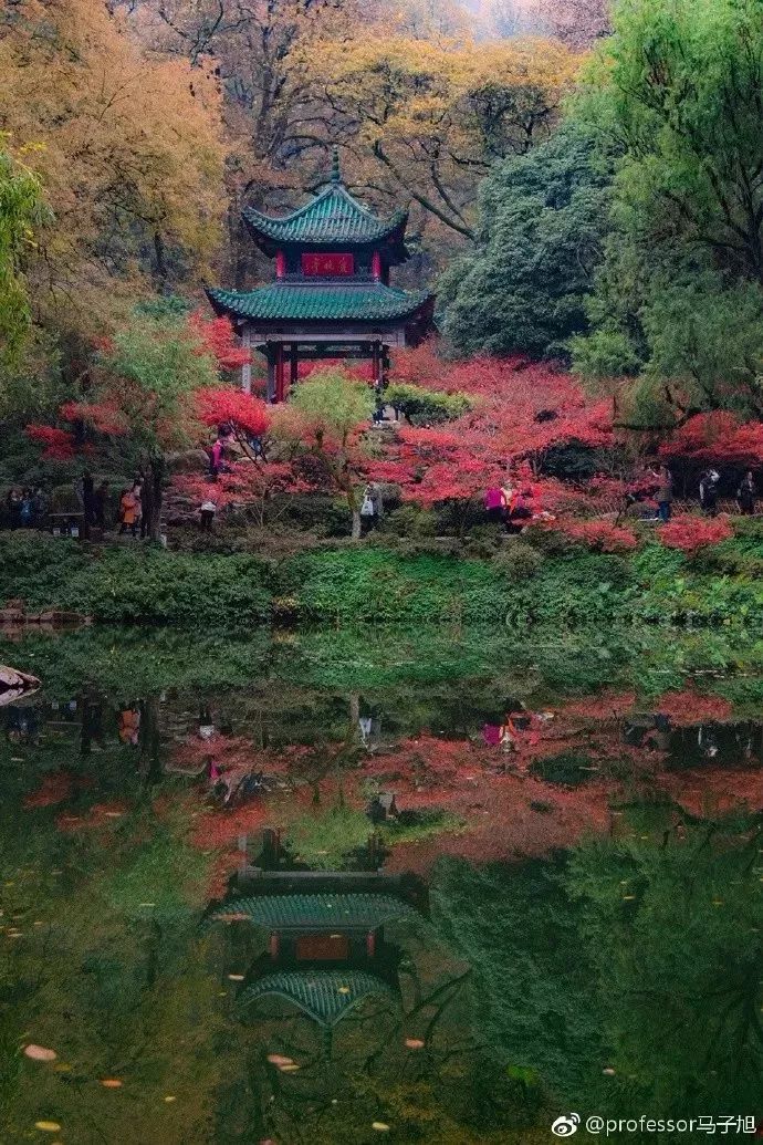 湖大,霸占了长沙秋天大半的美!