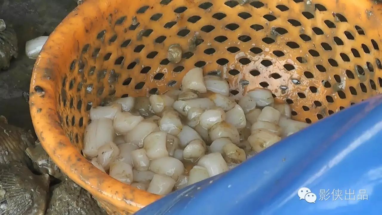 雷州市乌石镇下郁村揭牌纪录片-河北邯郸美食网