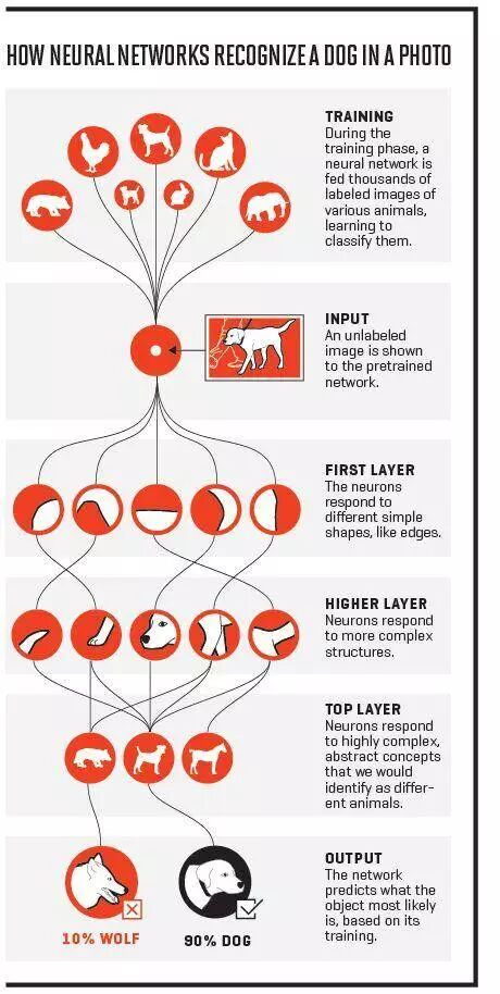 640?wx_fmt=jpeg&tp=webp&wxfrom=5&wx_lazy