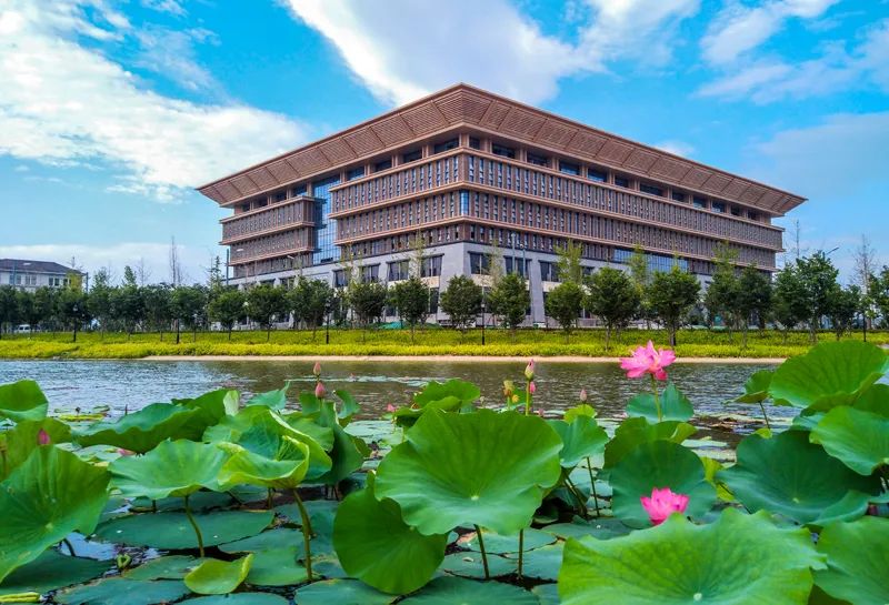 图书馆1999年,洛阳师范高等专科学校校门2017年,洛阳师范学院校门商丘