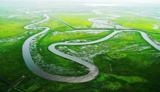 2024年中国最美湿地——千鸟湖湿地公园旅游攻略