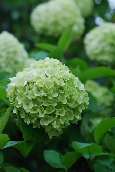 新年新花样,好看又时尚! - 虚伪～de现实的主页