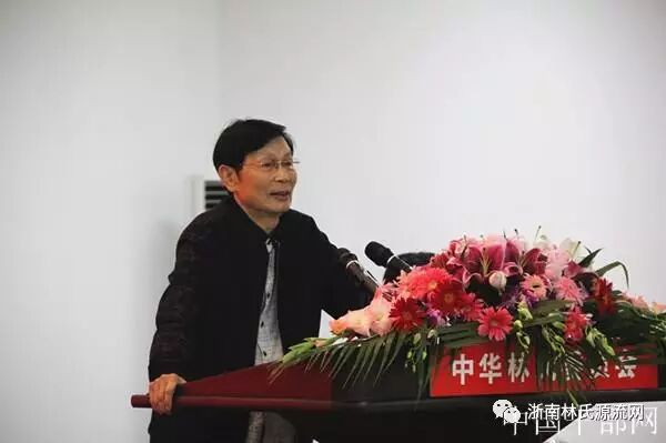 中华炎黄文化研究会林氏委员会第一次筹备会在北京召开 图9