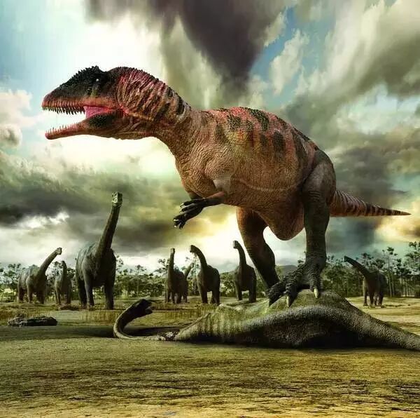 肉体偿还电影_神仙老爸国语全集优酷_恐龙2000电影国语mp4