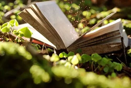 不是所有的人， 都能互相掏心掏肺。