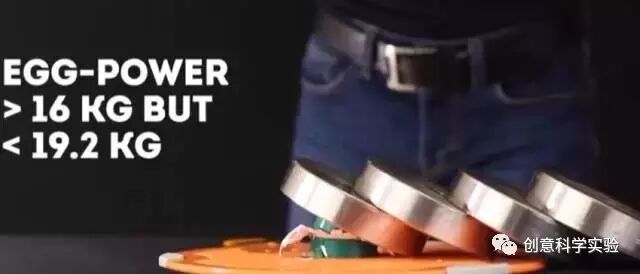 【创意科学实验】坚强的鸡蛋！插图4
