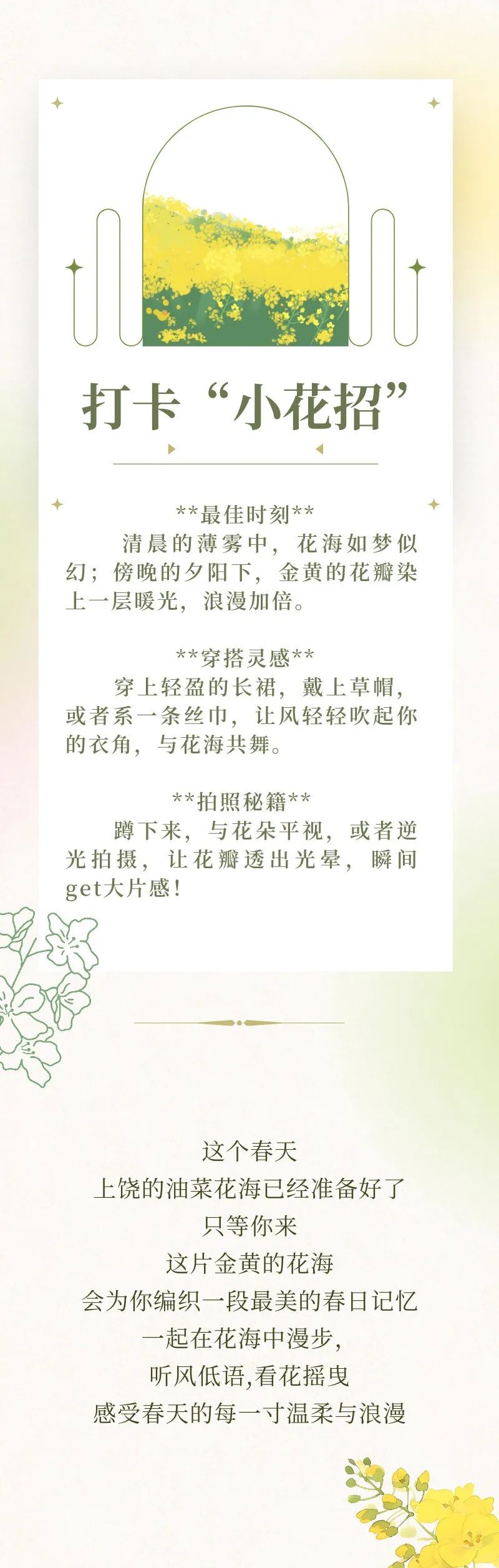 油菜花推文 (1).png