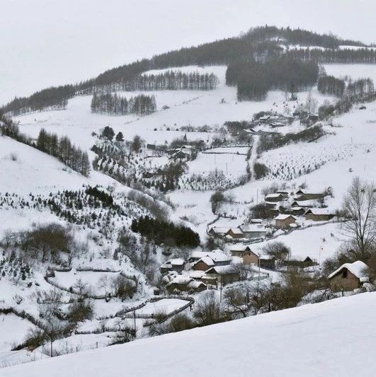 水墨丹青画 松岭雪村行