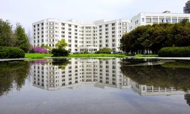 怎么促进vsd伤口愈合新技术 ｜ VSD，难愈性伤口不再难！_https://www.jmylbn.com_新闻资讯_第8张