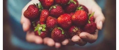 草莓正当季，糖友难以拒绝的吃草莓攻略！