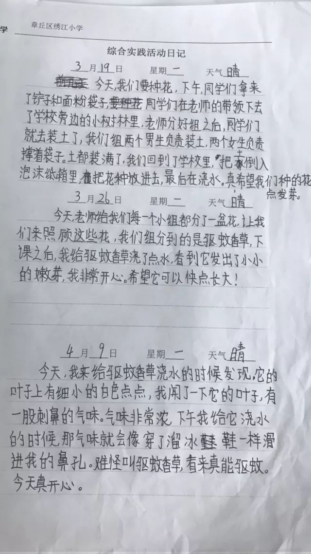 我们的观察日记!