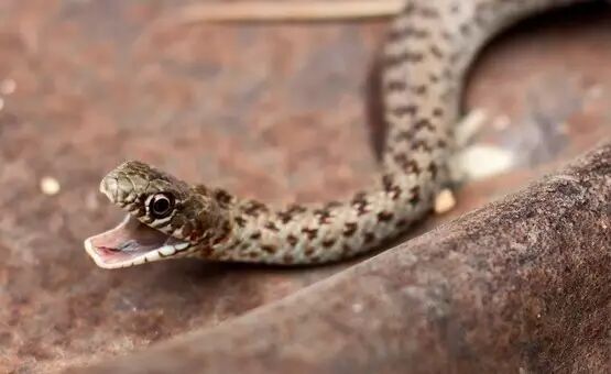 湖南15岁少年撞倒娭毑不逃逸,送伤者入院并24小时照顾;留下怀孕女友和独居父亲,27岁男子跳河前的三个电话丨早安湖南-怀孕期